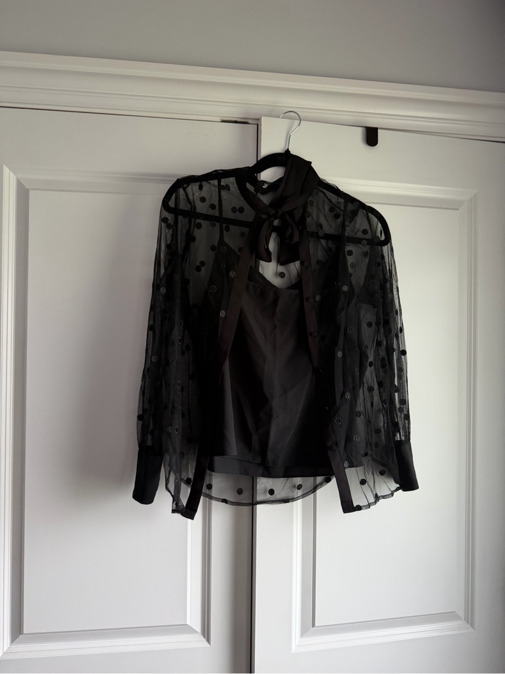 JCrew Sheer Polka Dot Blouse